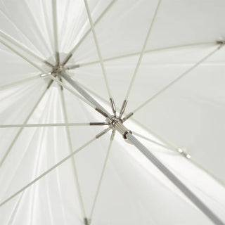 photo umbrella