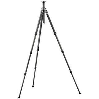 gitzo tripod legs